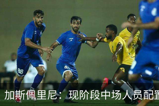 加斯佩里尼：现阶段中场人员配置足够，我计划再引进两名前场球员