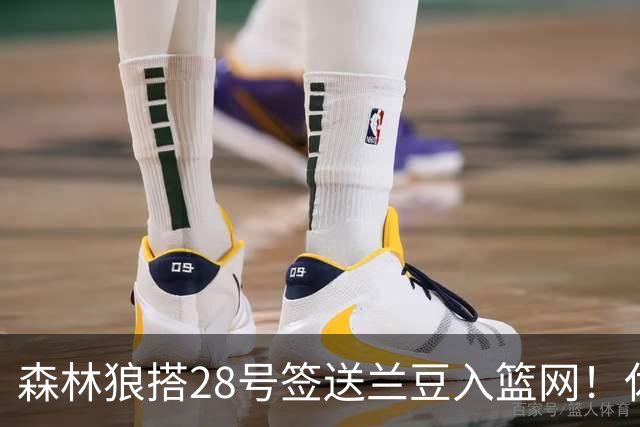 森林狼搭28号签送兰豆入篮网！休媒：利好火箭，27年可换网队首轮